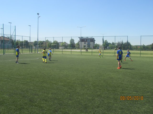pino 26